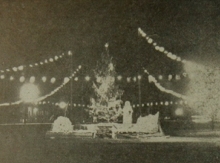 Երևանի առաջին տոնածառը