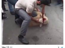 Գեղական քծնանքի մեջ խանդավառություն չկա