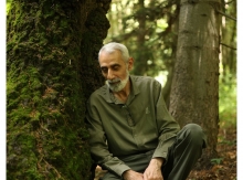 Եվ ես կգամ այդ ծառը որոնելու