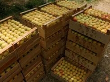Ձգեք գոտիներդ, մինչև ֆոն դեր Լայենը գա, ցամաքած առուն էլ ջուր բերի՝ եվրոյի տեսքով