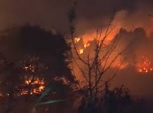 Ձեր քթի տակ, էս ձմեռնոցով ձեր երկիրն այրվում է, դուք ոչինչ չե՞ք անում