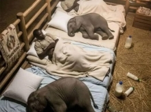 Մարդկային հարաբերությունների գագաթնակետը դիմացինի և բնության հանդեպ կարեկցանքն է