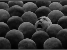 Գործող իշխանությունները ընտրողին անվերջ փորձում են ցած հրել՝ վերածելով «լավ ուտող-լավ ապրող» կաթնասունի