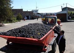 ՈՐՏԵ՞Ղ Է ԹԱՂՎԱԾ ՇԱՆ ԳԼՈՒԽԸ, ԿԱՄ` Ո՞Վ Է ԱՅՆ ՇԱՆ ԳԼՈՒԽԸ, ՈՐ ԹԱԼԱՆՈՒՄ Է ԳՅՈՒՂԱՑՈՒՆ 