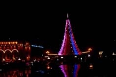 ՏՈՆԱԾԱՌ ՋԱՆ, ՏՈՆԱԾԱՌ, ՈՐՔԱՆ ՈՒՇ ԳԱՍ, ԱՅՆՔԱՆ ԼԱՎ 