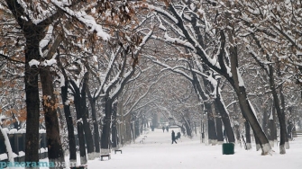 Բա որ ձմեռը չլիներ, ո՞վ էր սպասելու գարնանը