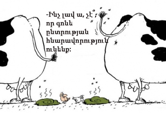 «Այլընտրանք»