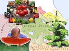 ԿՈՐՈՒՍՅԱԼ ԴՐԱԽՏ 