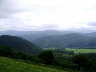 Ի՞նչ իմաստ ունի հայկական դպրոցը, եթե ուսուցիչը նիկոլ է ընտրում