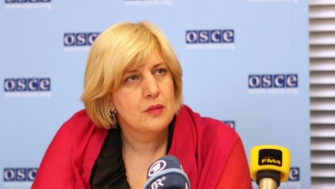 ԵԱՀԿ ներկայացուցիչը քննադատել է հայաստանյան դատարանի վճիռը
