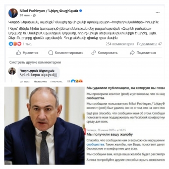 Պետության նիկոլական ընկալումը