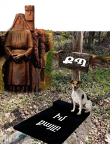 Անարգանքի պատ