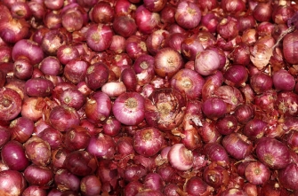 Հին հնդկական իմաստնություն