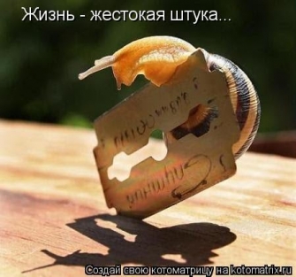 Իրականությունը դաժան բան է