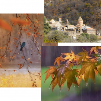 Անտեսված աշուն