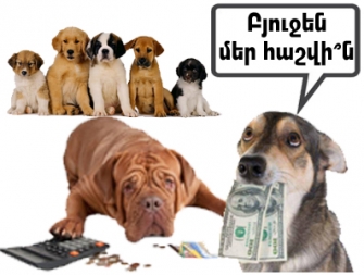 Շների հաշվին