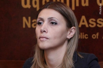 Լավ կլիներ, որ վարչապետը վարչատարածքային սահմանները տարբերեր պետական սահմաններից. Էլինար Վարդանյան