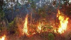 Հրդեհի բարձր ռիսկի գոտի ենք մտել