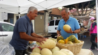 Հայ ֆերմերը լեռների մեջ գտնվող անապատն այգեստան է սարքել 