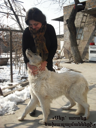 Իմ «ես»-ը հոգնակի է       