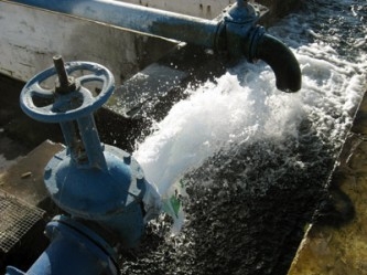 Արծվաքարցիները նման հրաշքի չէին սպասում