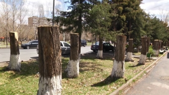 Ընդհանուր շահն ուրիշի ցավի վրա չի կառուցվում