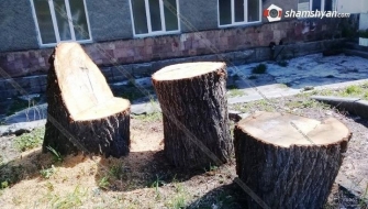 Անձնական օգտագործման կոճղեր