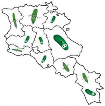 «Խիարը թարս ա բուսնում»