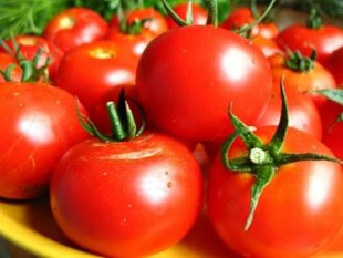 Լոլիկի ցանքերին նույնպես վտանգ է սպառնում
