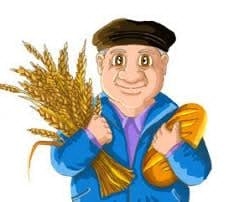Մոլախոտն ու ցորենը