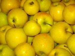 Իմ խնձորային օրը` բարի ախորժակ