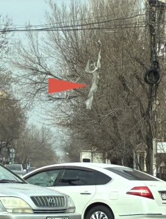 Սովորական երևանյան պատկեր