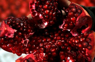 Ճիվա՛ղ, նզովյալ լինես