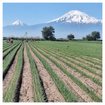 Արարատակենտրոնությունն է, որ բոլորիս, անկախ նրանից, թե որտեղ ենք ապրում, բերում է ընդհանուր հայտարարի