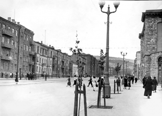 Ծառերը գաղտնապահ են. կտրես էլ, բան չեն ասի 